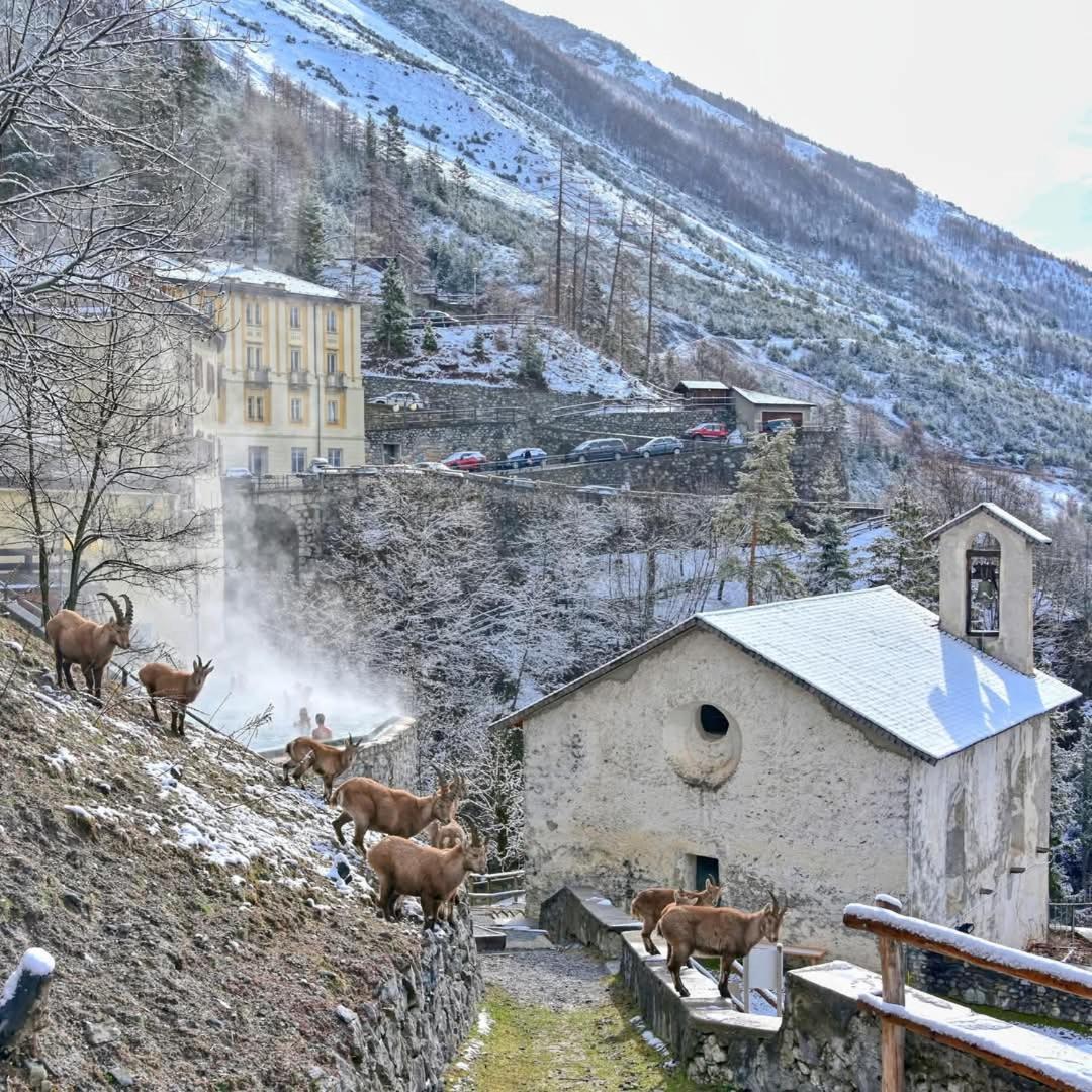 Casa Bellavista Διαμέρισμα Premadio Εξωτερικό φωτογραφία
